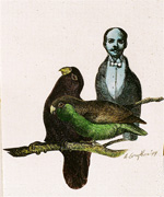 Anthony Guyther - Man Birds
