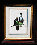 Anthony Guther - "Man Birds" - framed